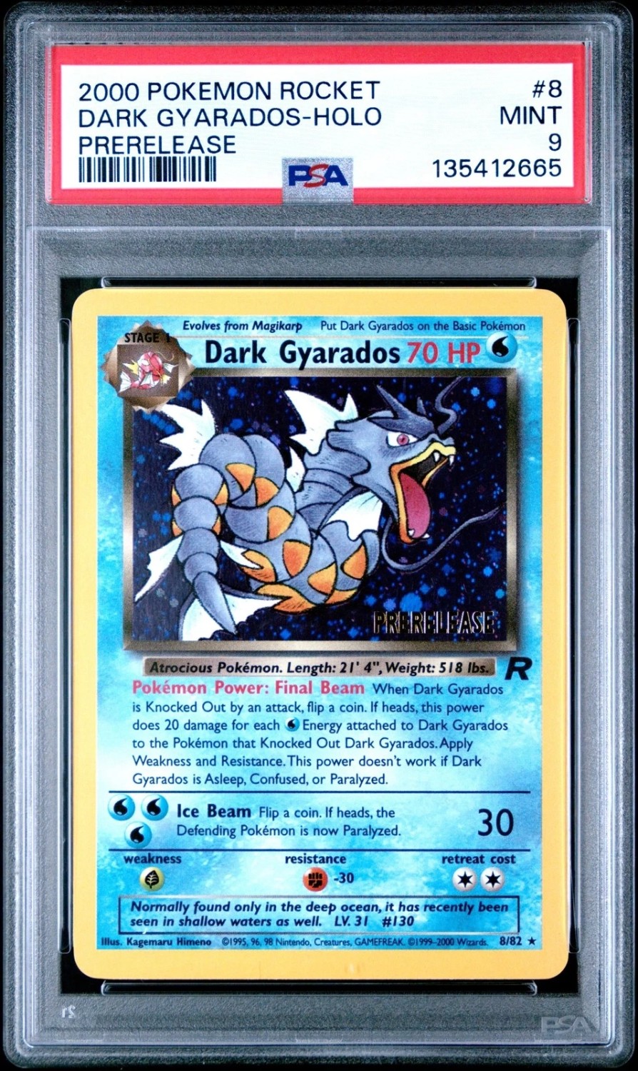 Dark Gyarados