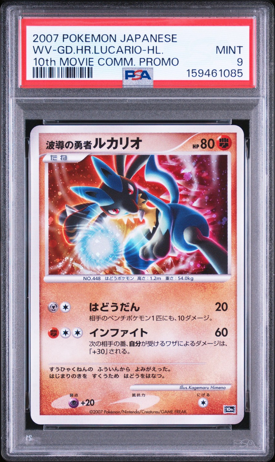 Wave-Guiding Hero Lucario