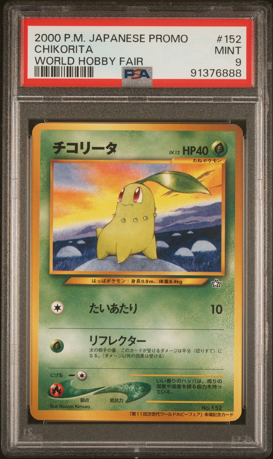 Chikorita