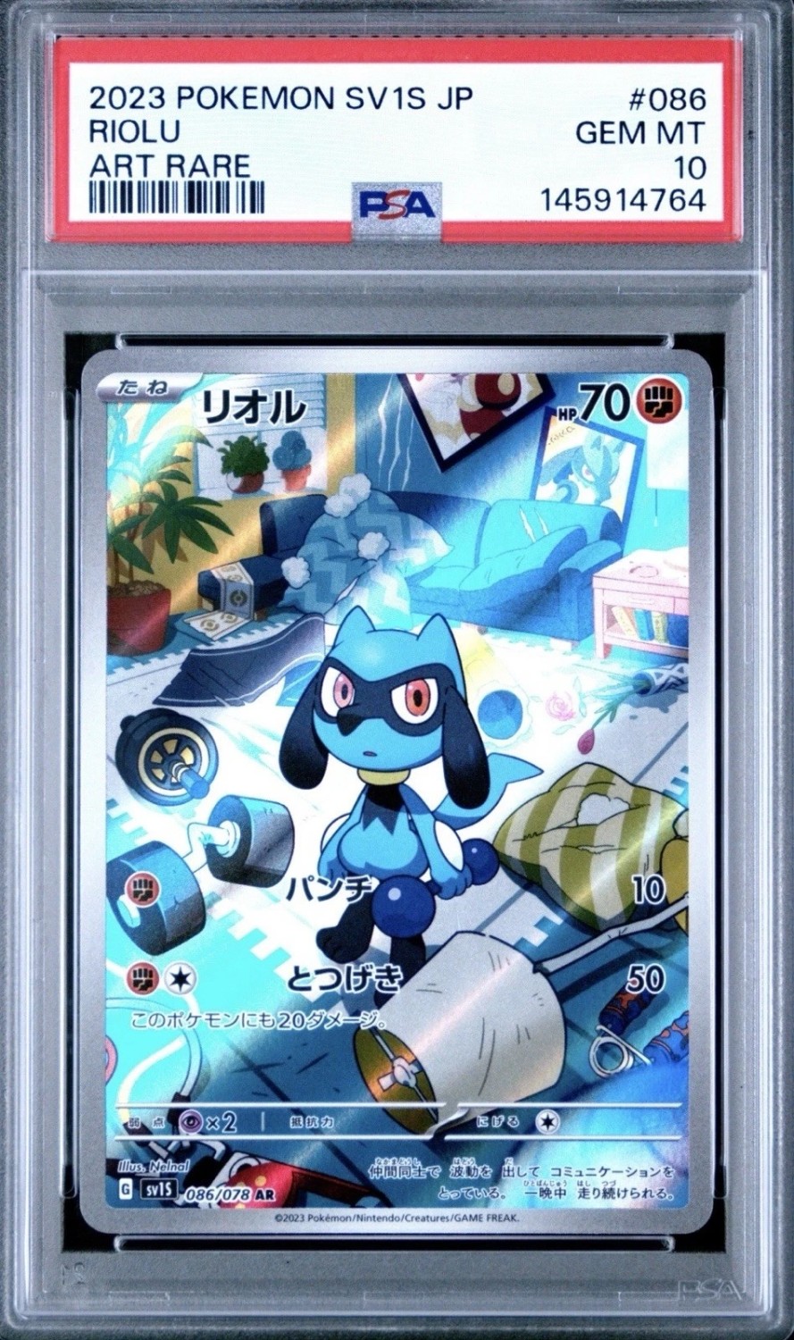 Riolu