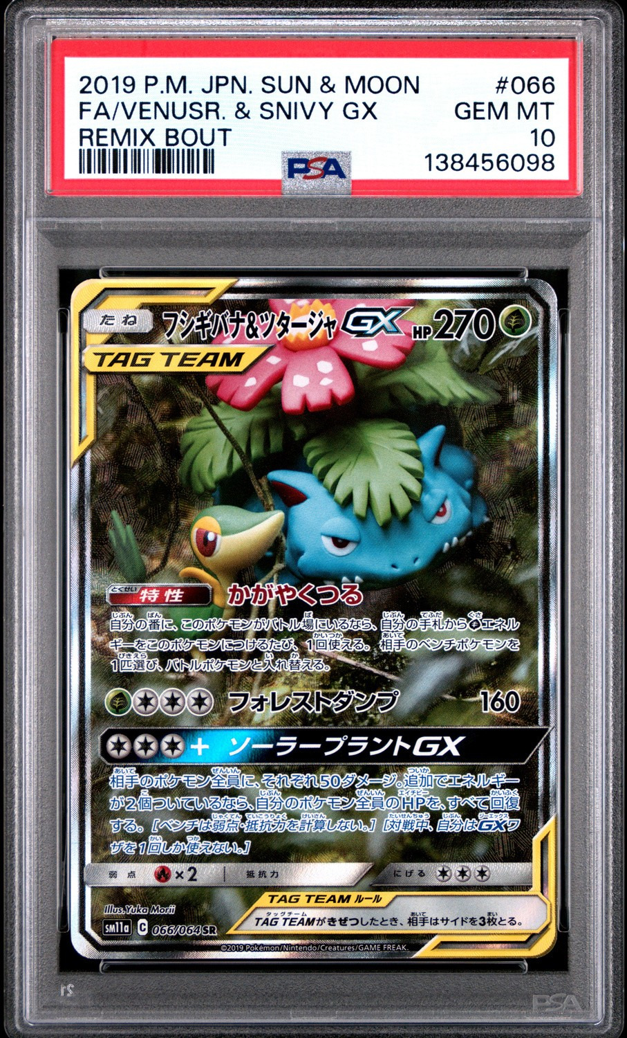 Venusaur & Snivy GX