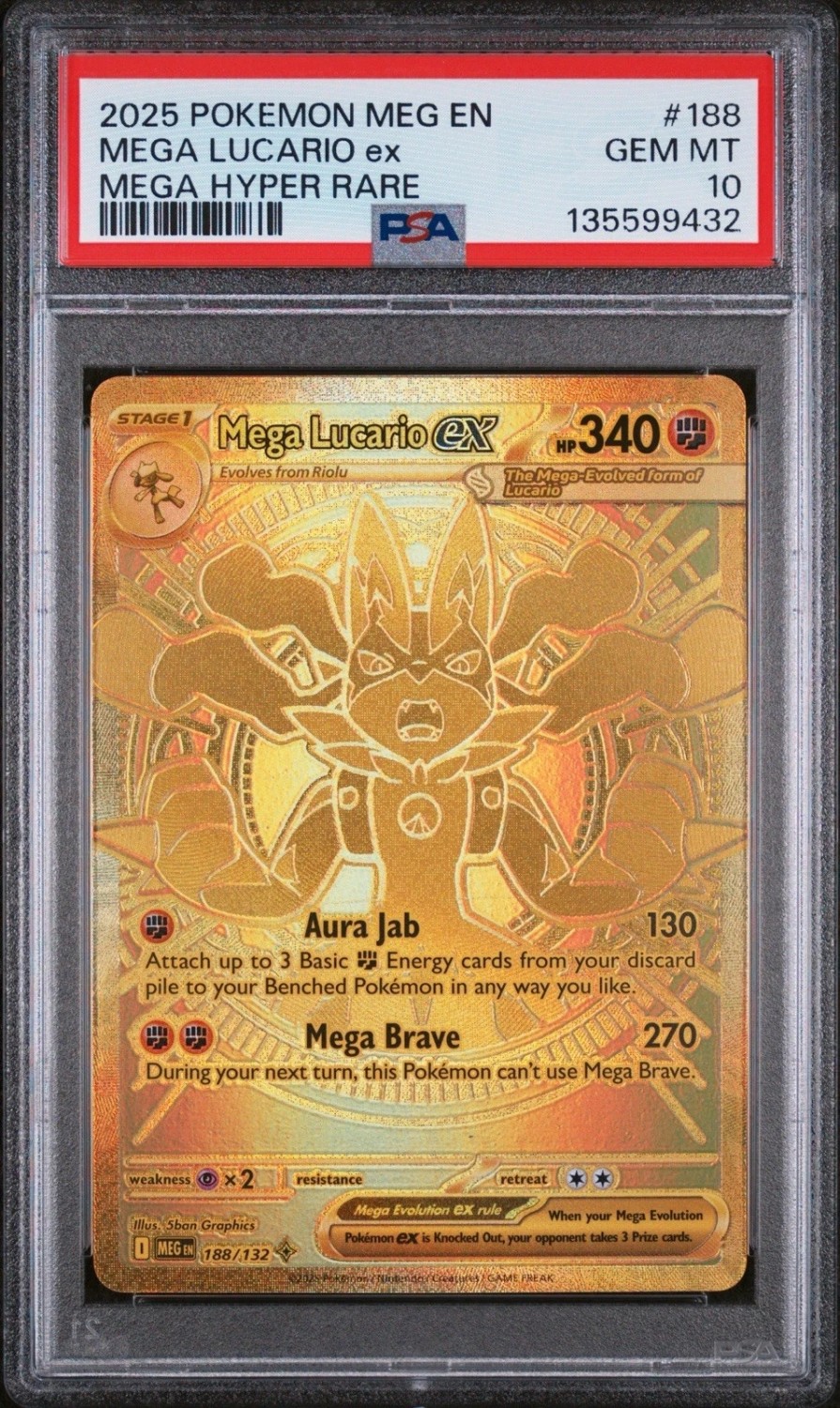 MEGA LUCARIO ex