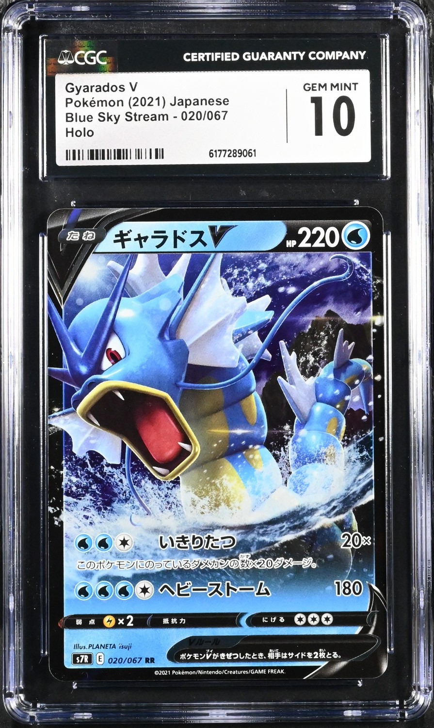 Gyarados V