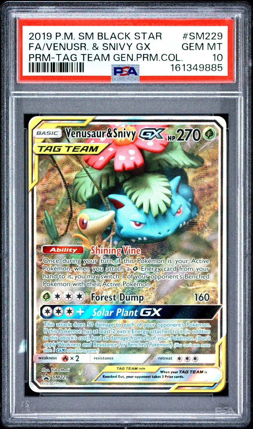 Venusaur & Snivy GX