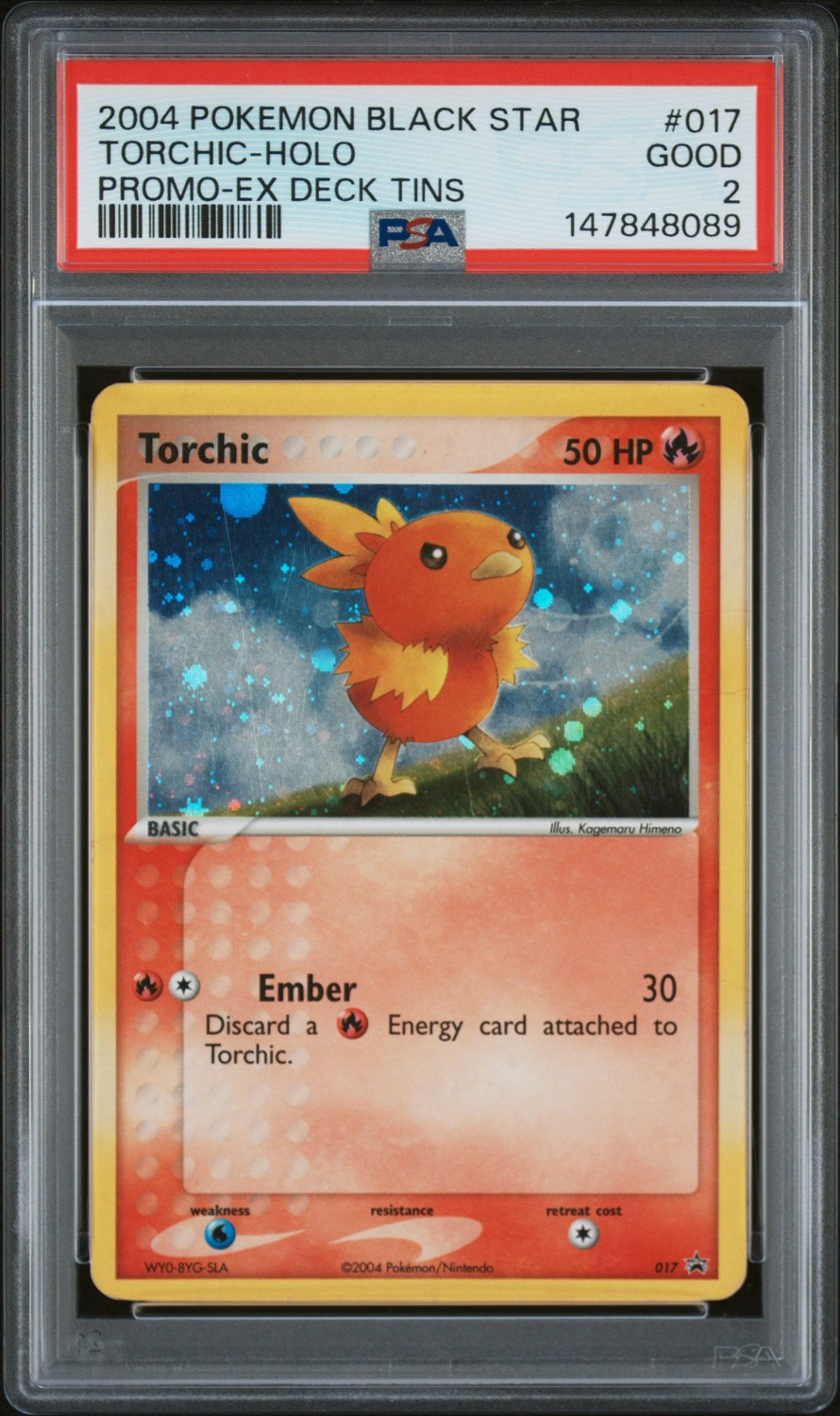 Torchic