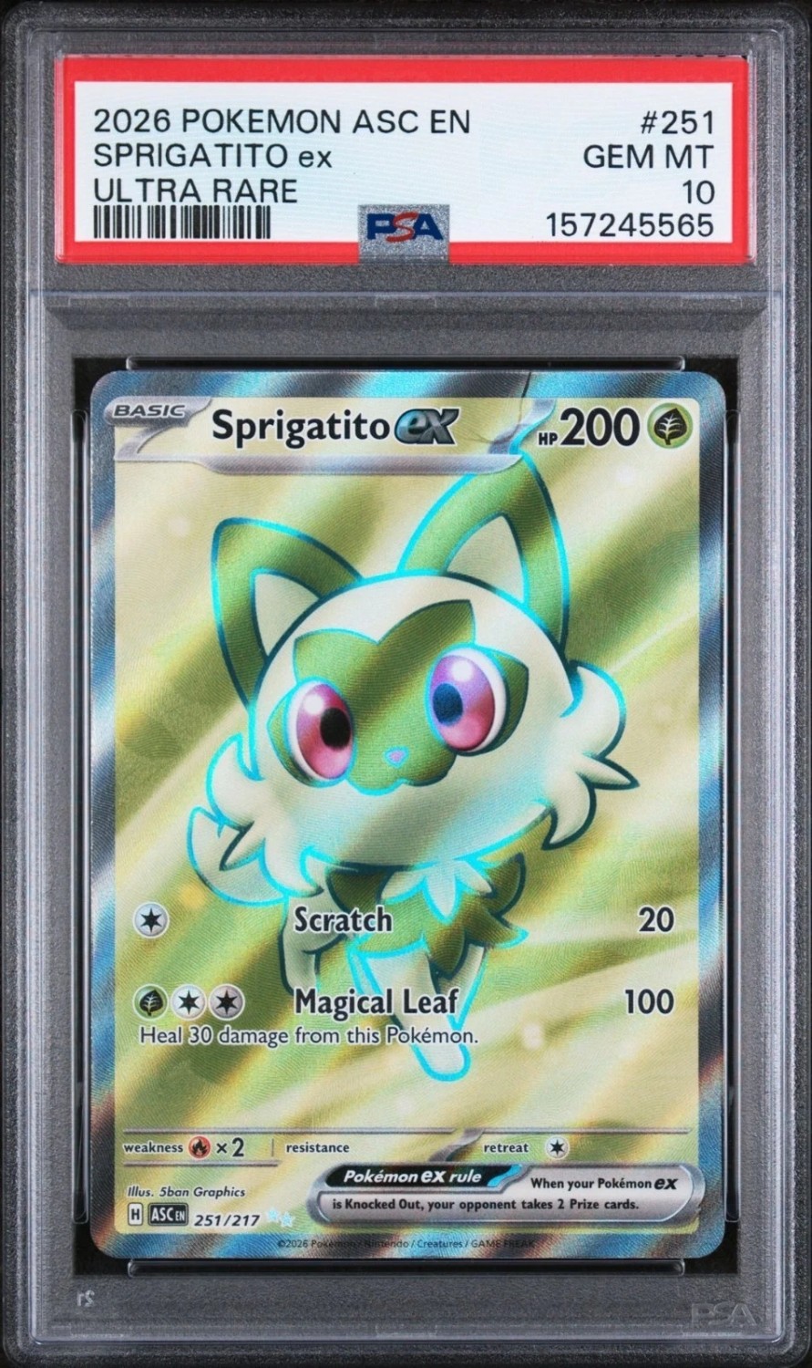 SPRIGATITO ex