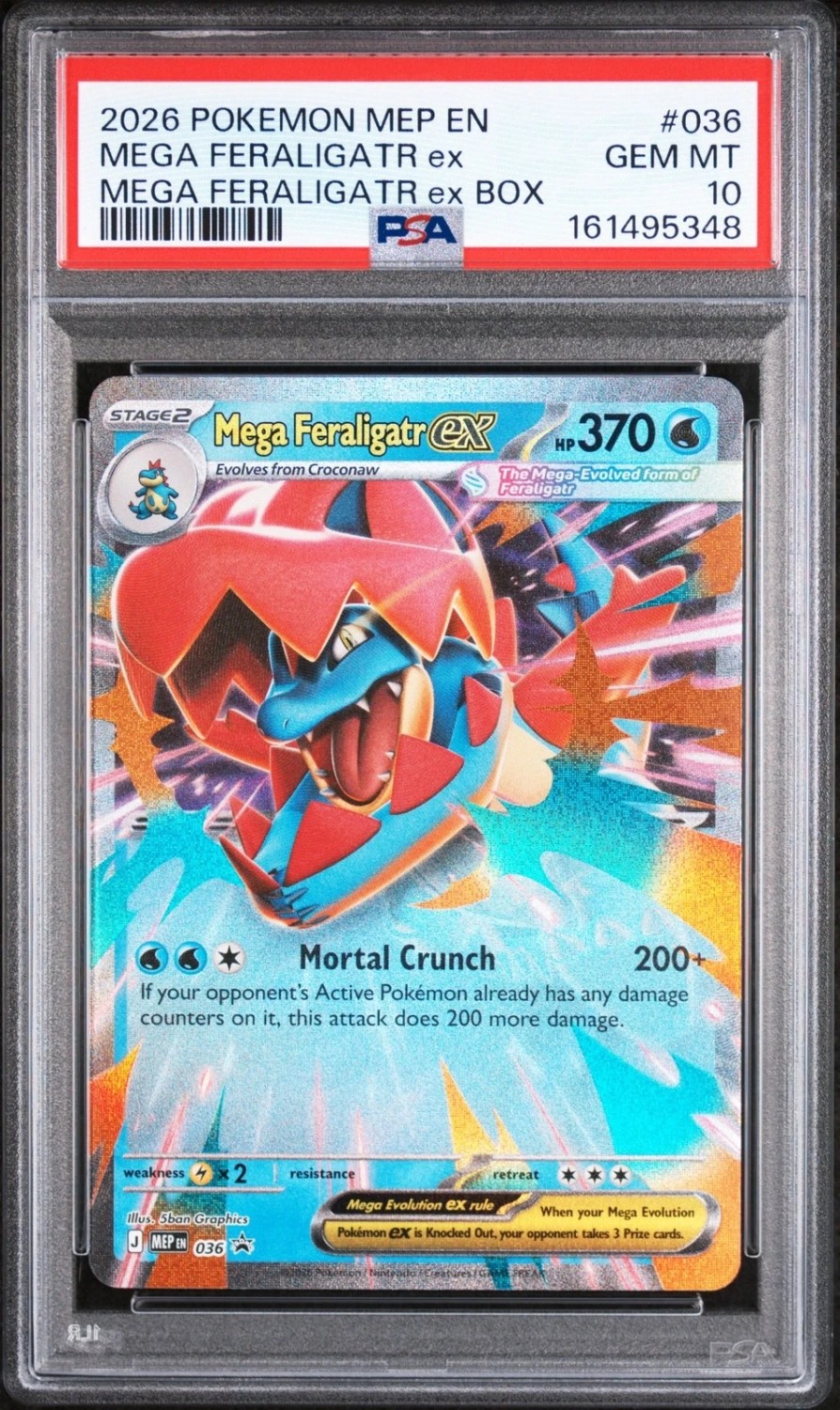 MEGA FERALIGATR ex