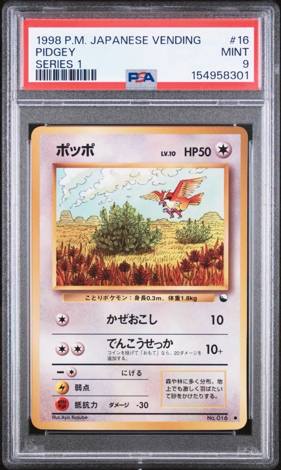 Pidgey