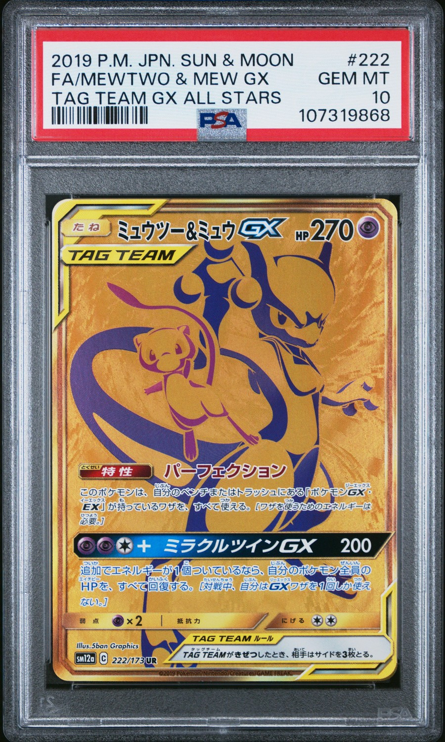 Mewtwo & Mew GX