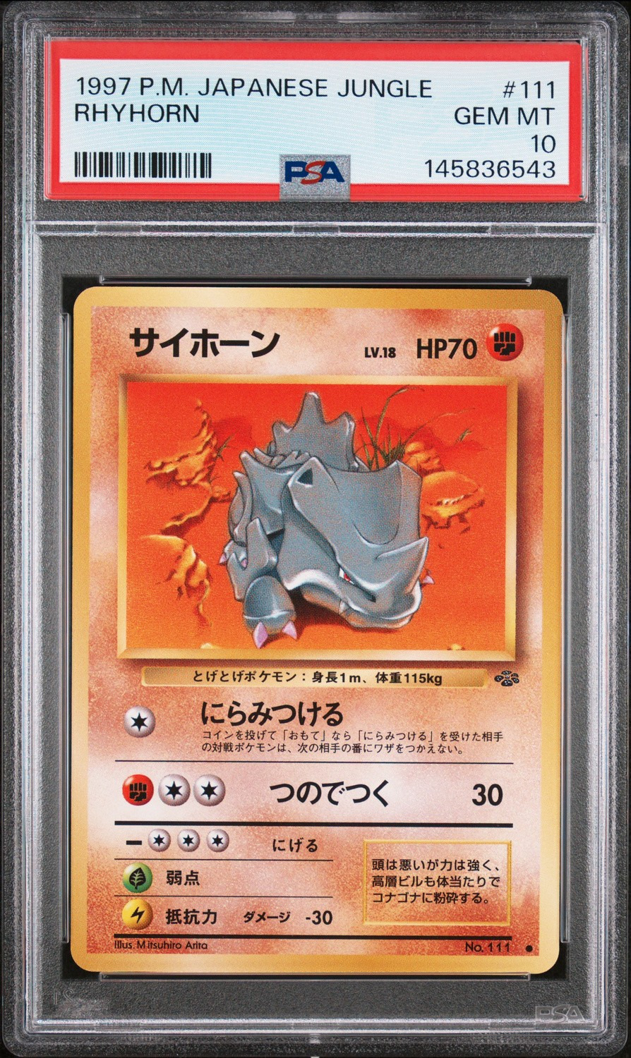 Rhyhorn