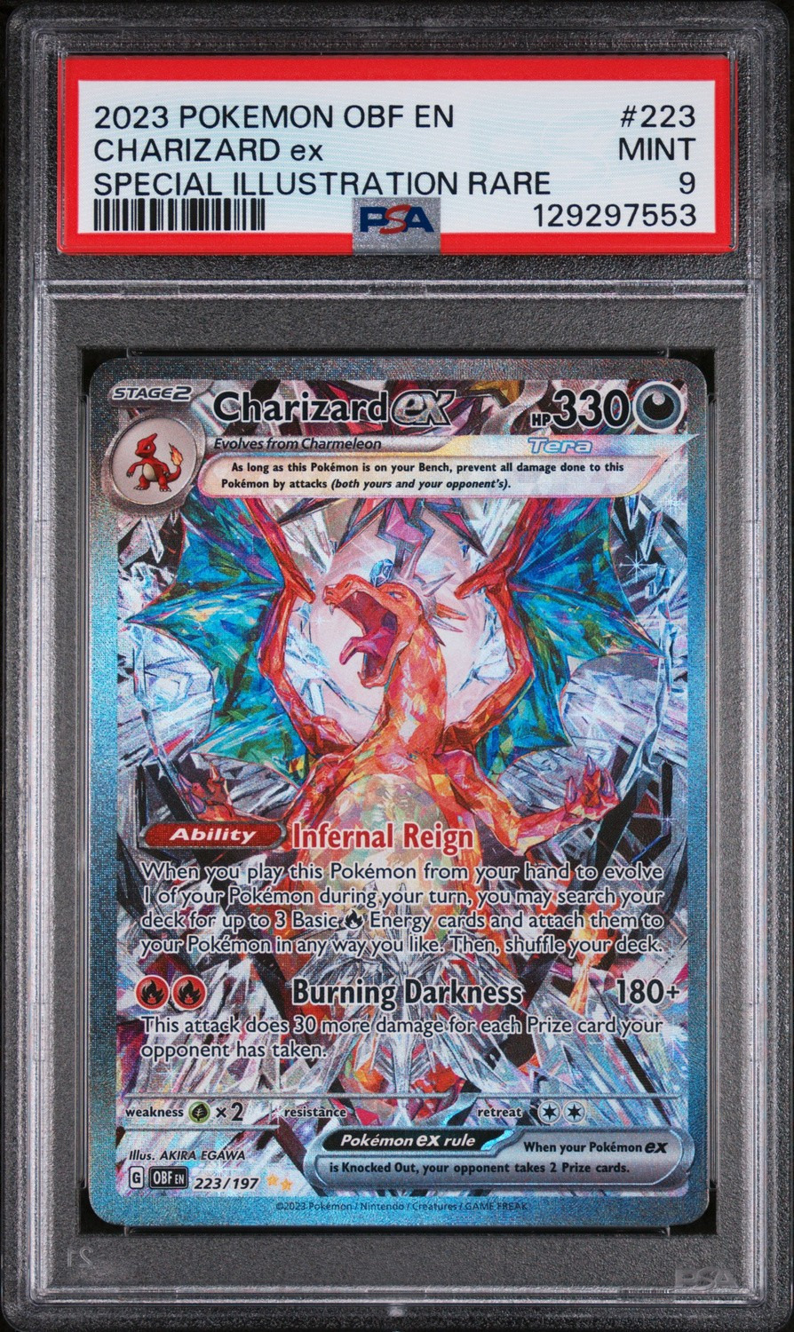 CHARIZARD ex
