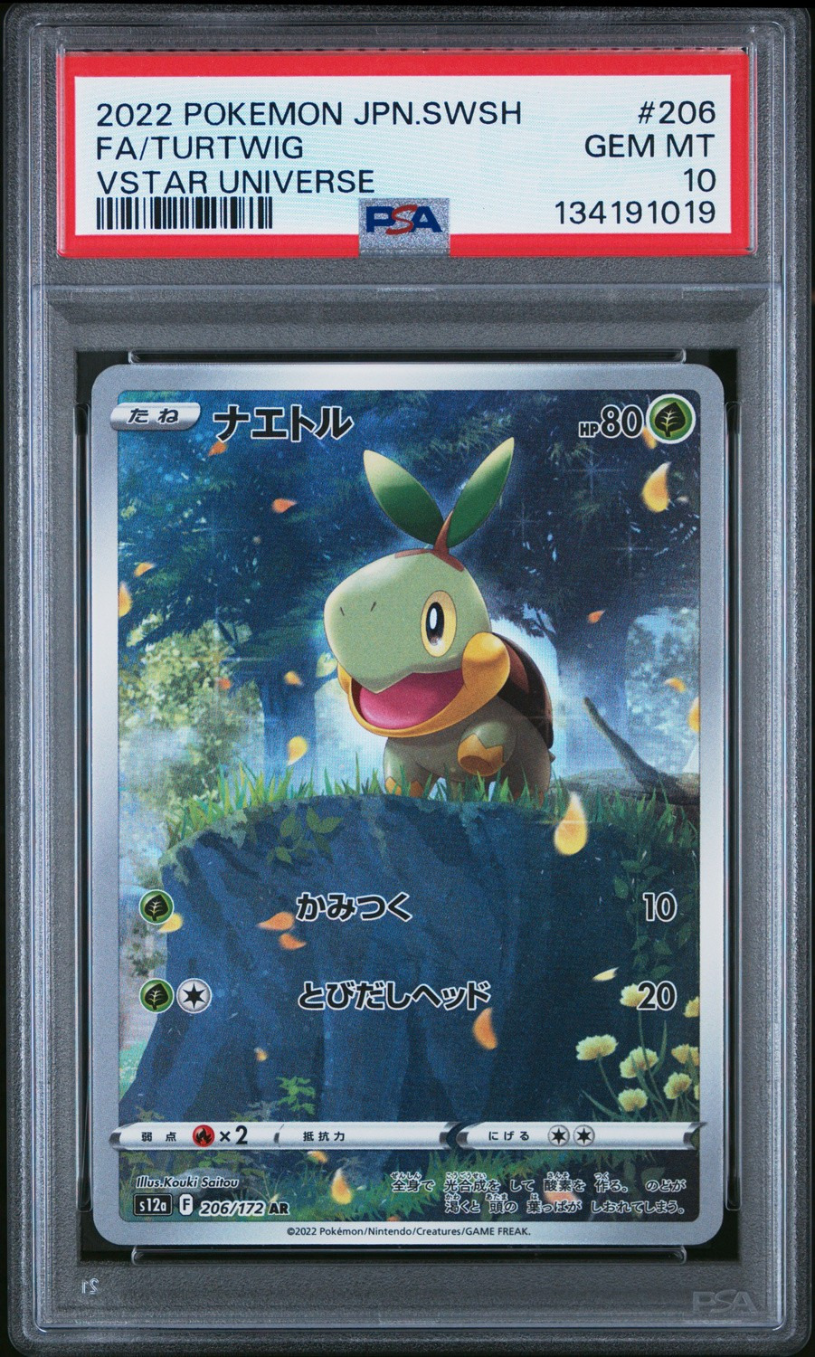 Turtwig