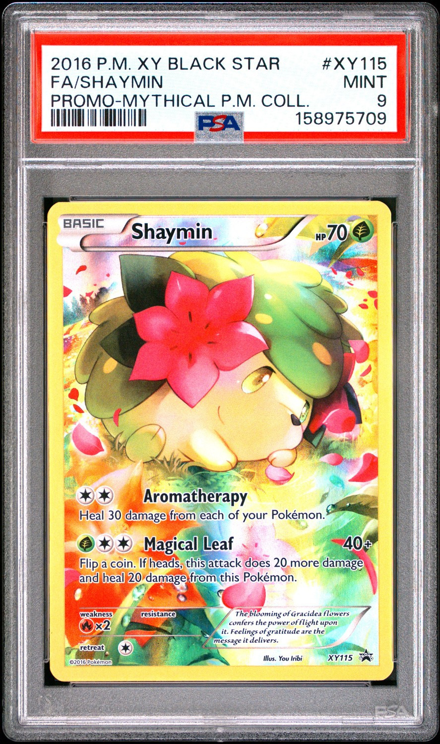 Shaymin