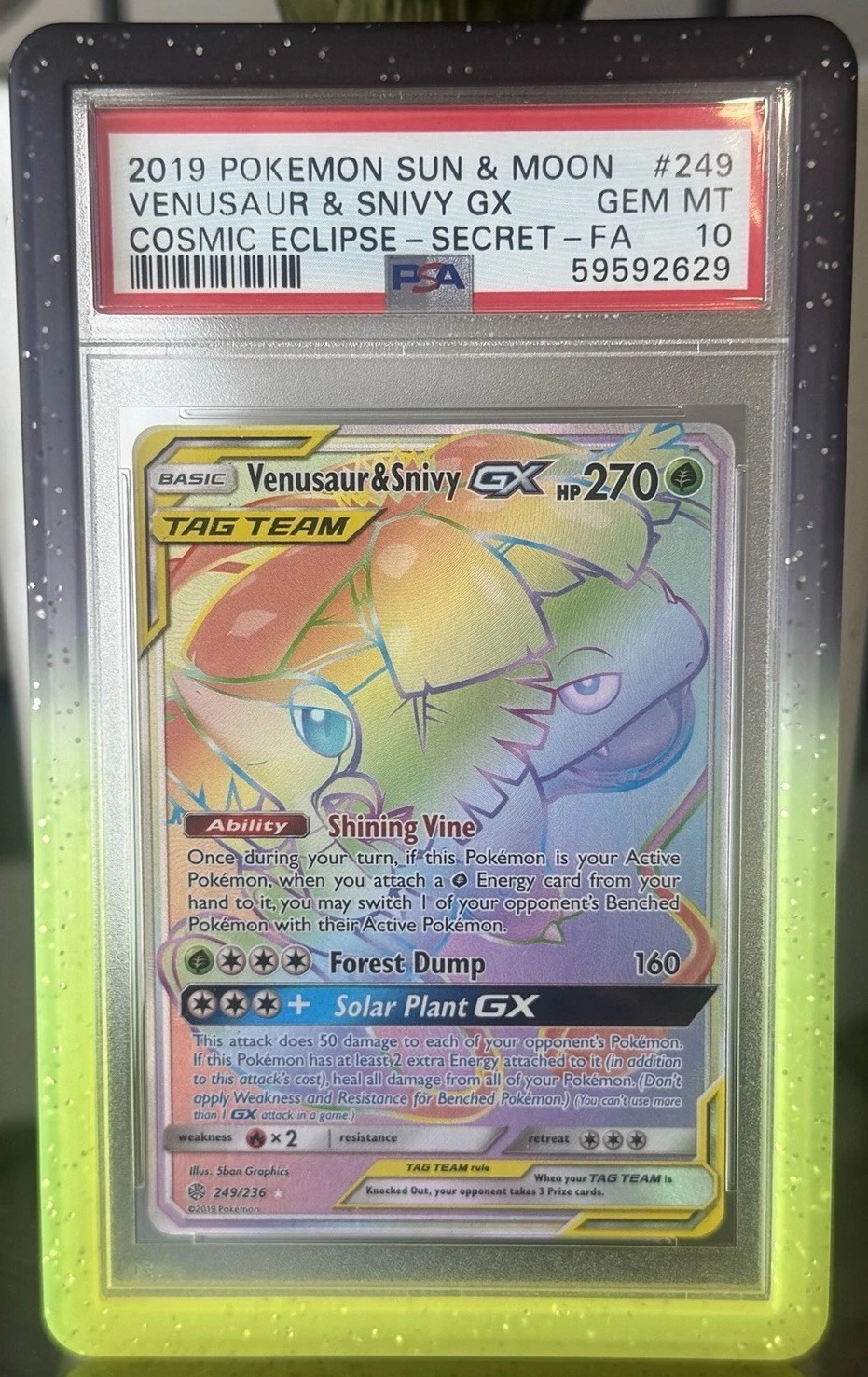 Venusaur & Snivy GX