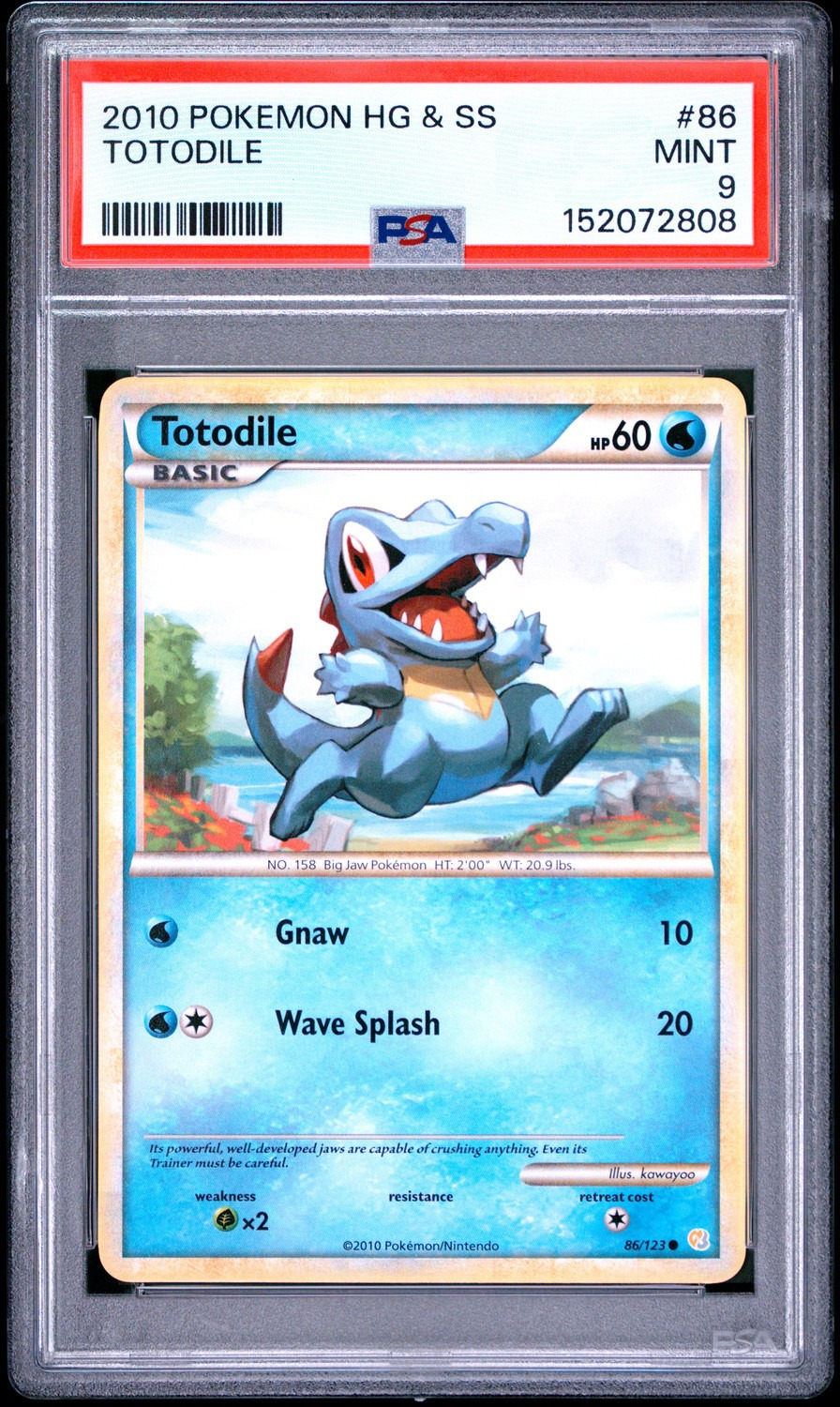 Totodile