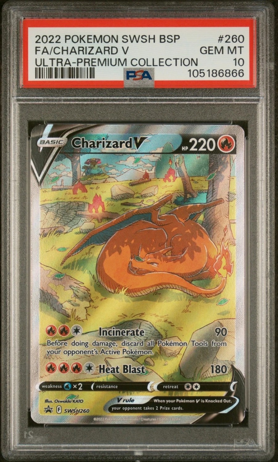 Charizard V