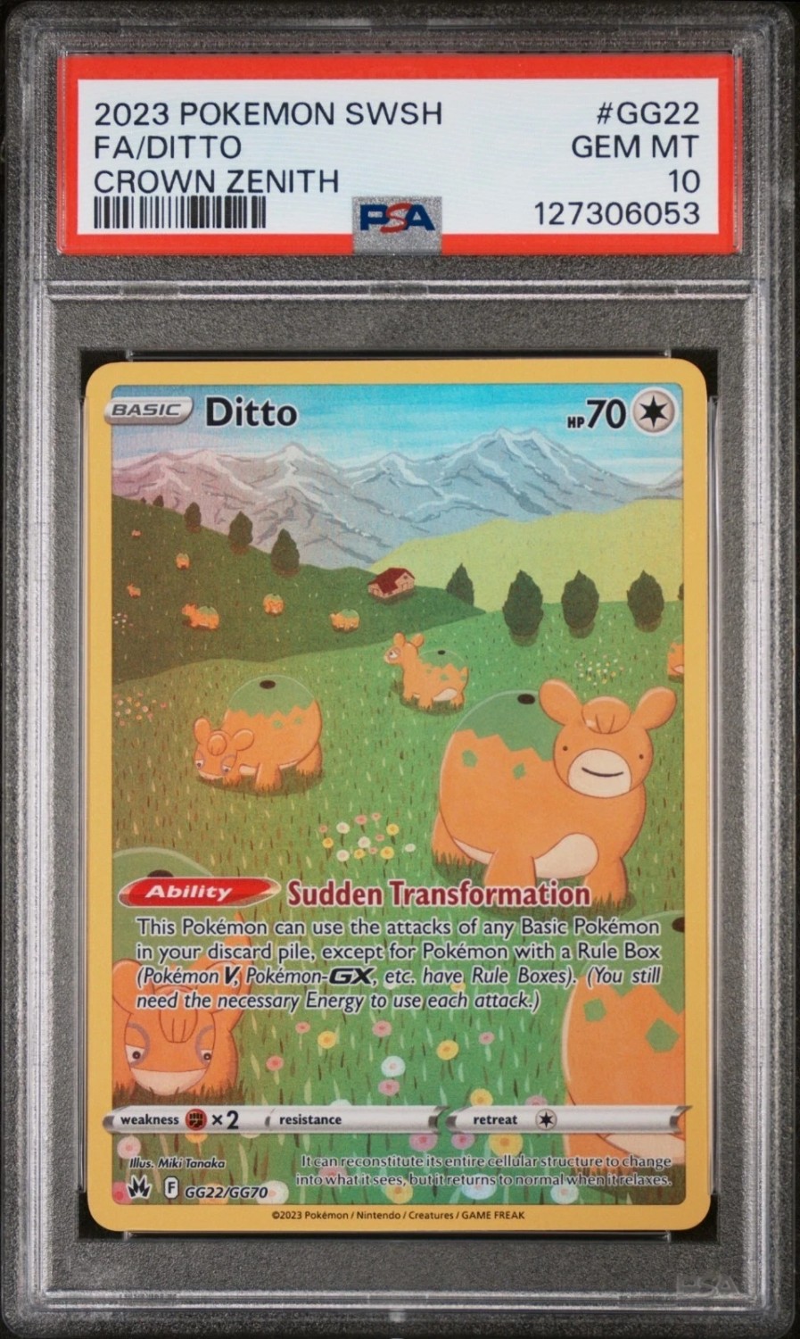 Ditto
