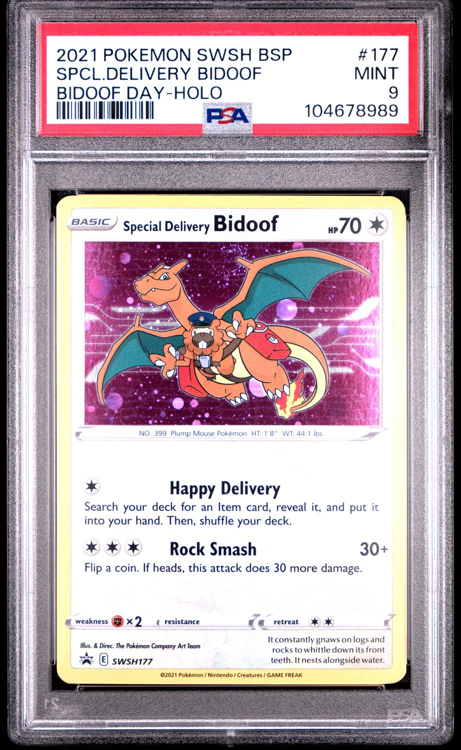 Special Delivery Bidoof