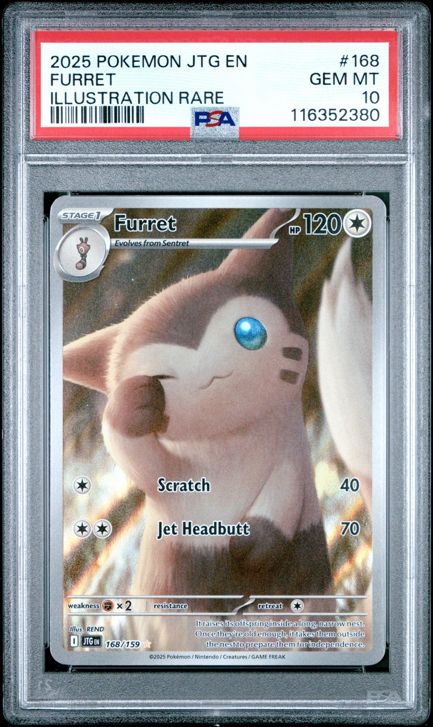 Furret