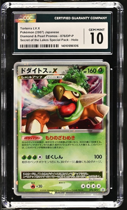 TORTERRA LV.X