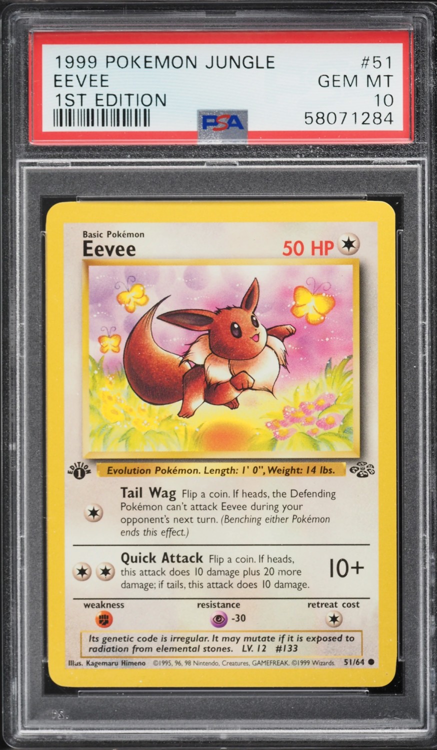 Eevee