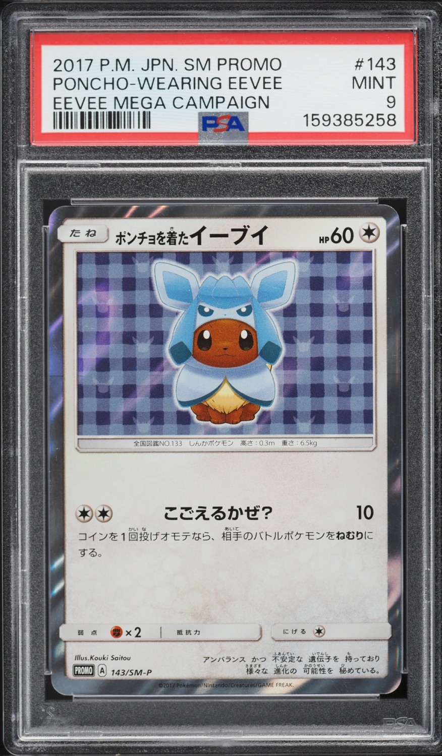 Poncho-Wearing Eevee