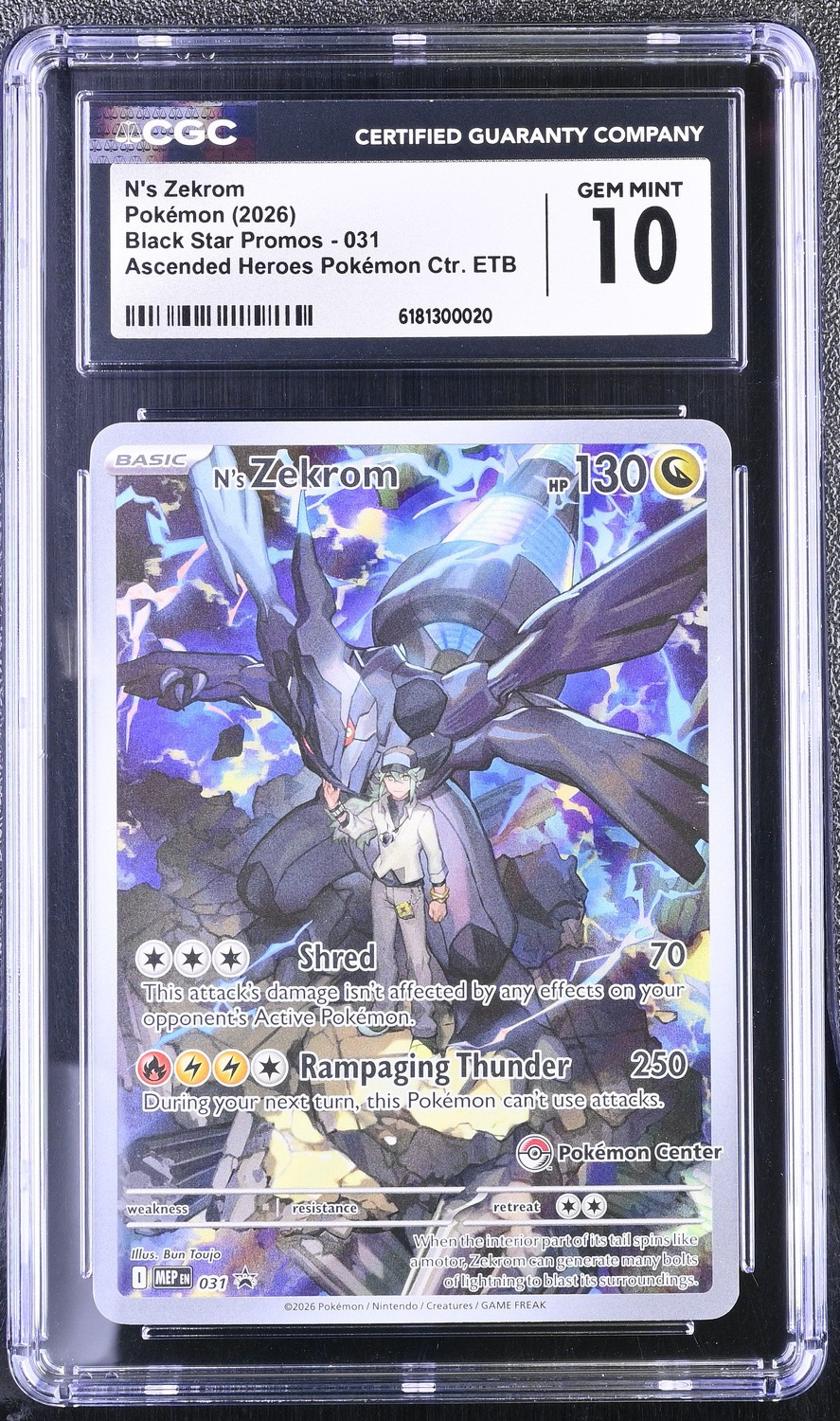 N'S ZEKROM