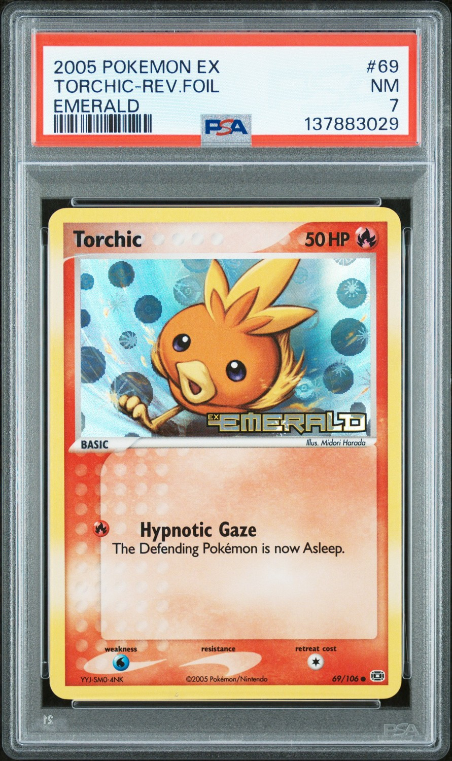 Torchic