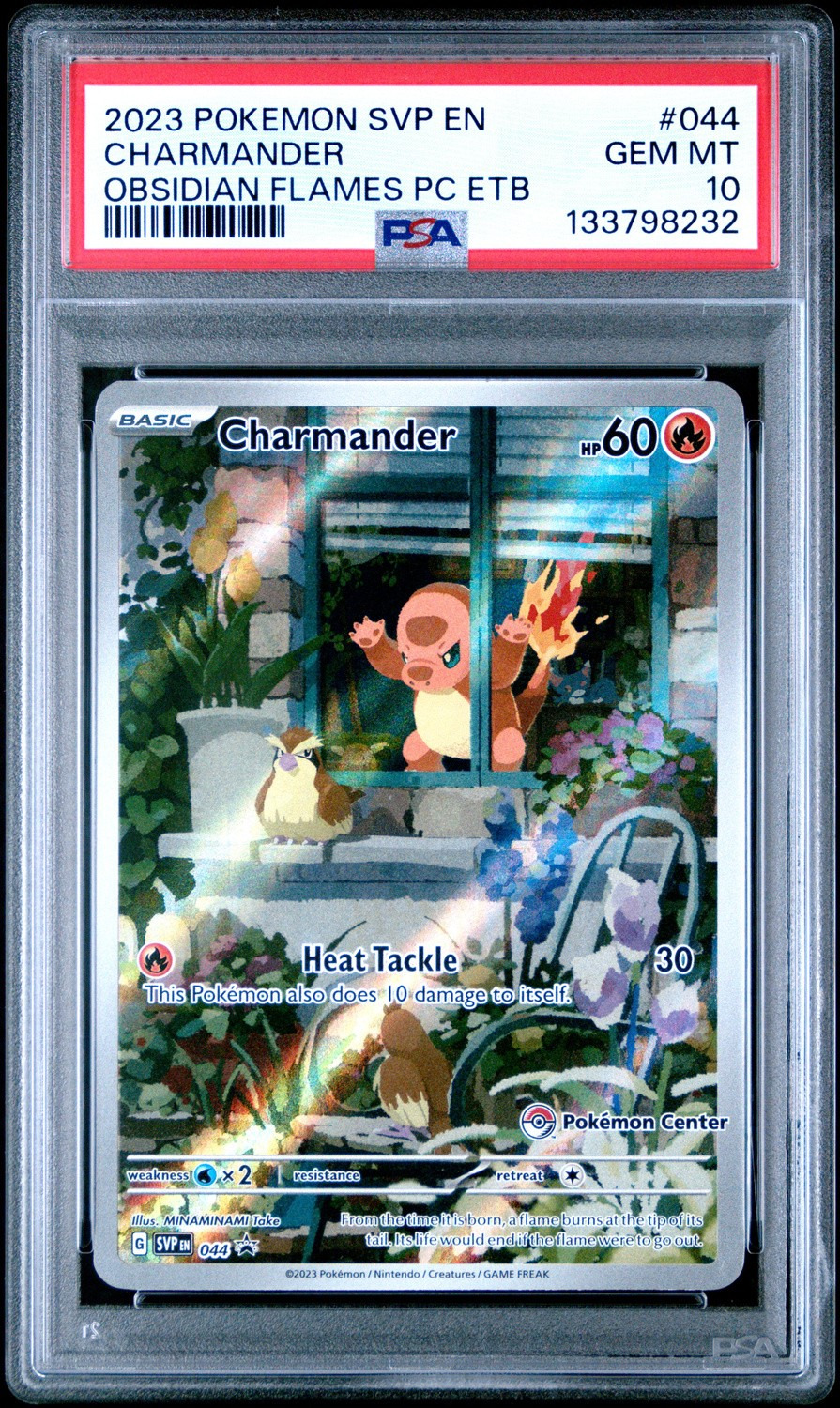 CHARMANDER