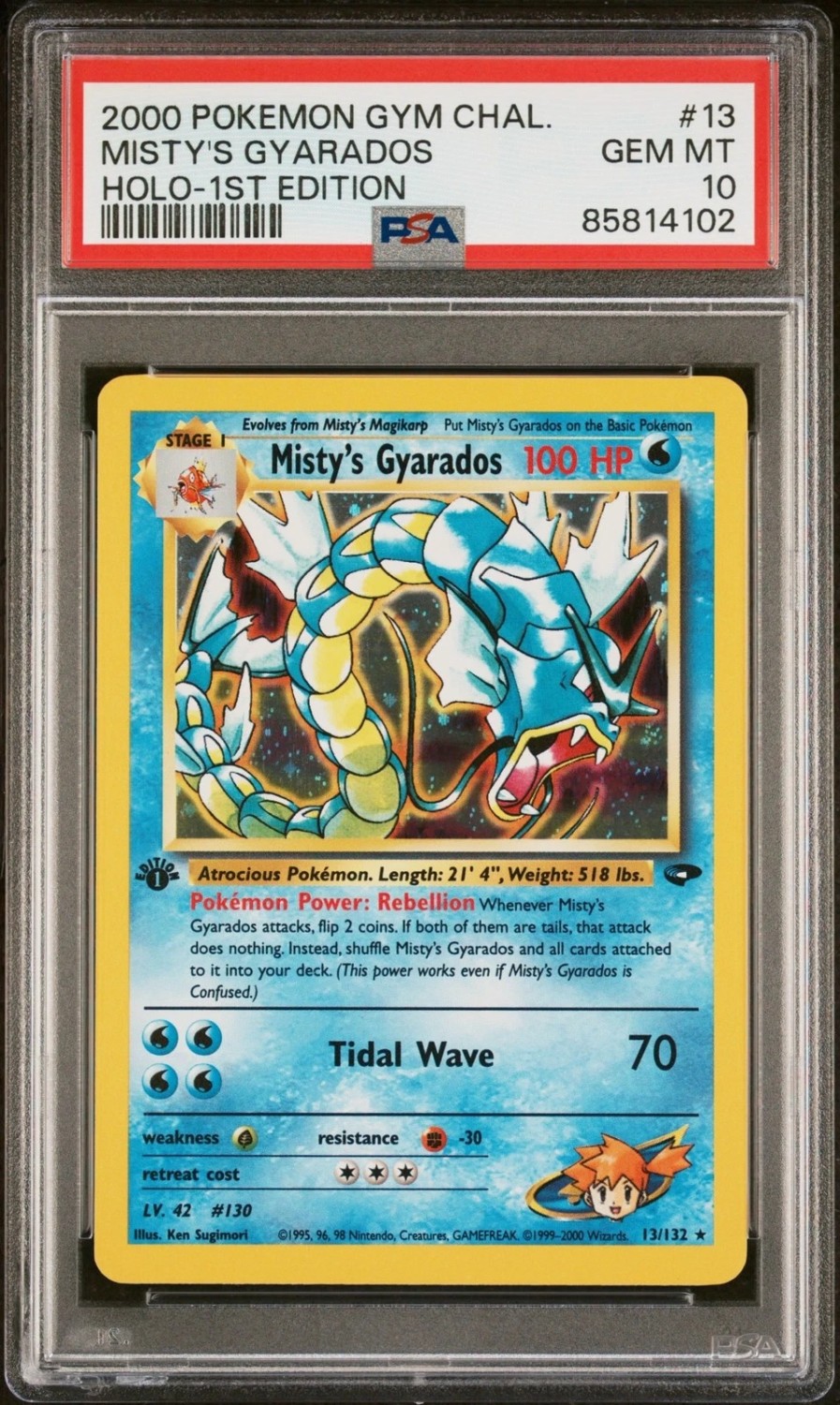 Misty's Gyarados