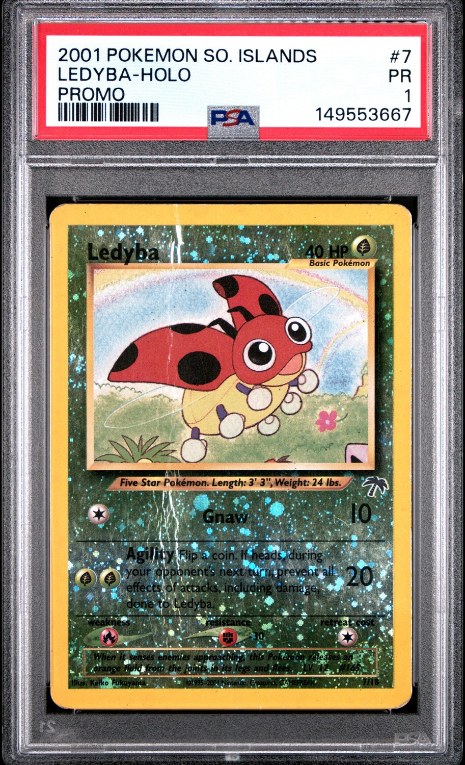 Ledyba