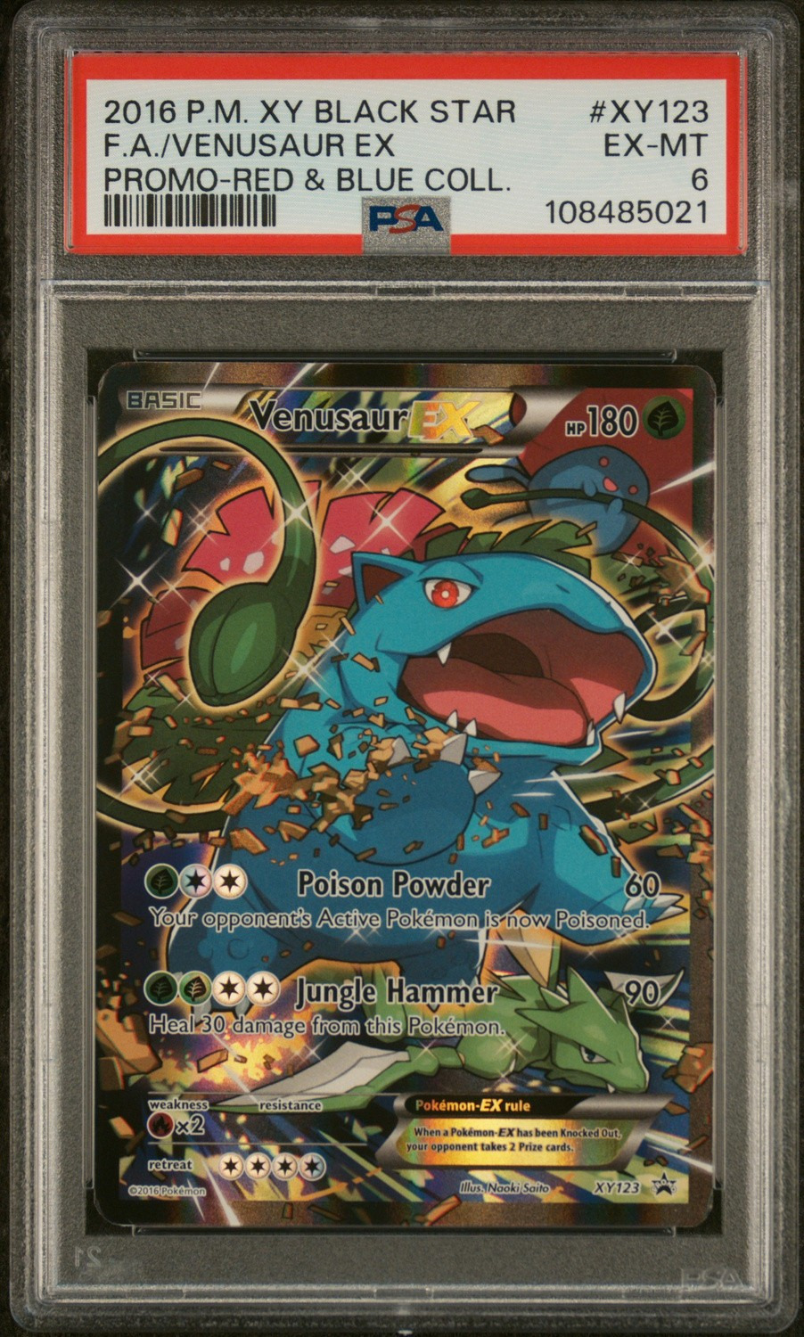Venusaur EX
