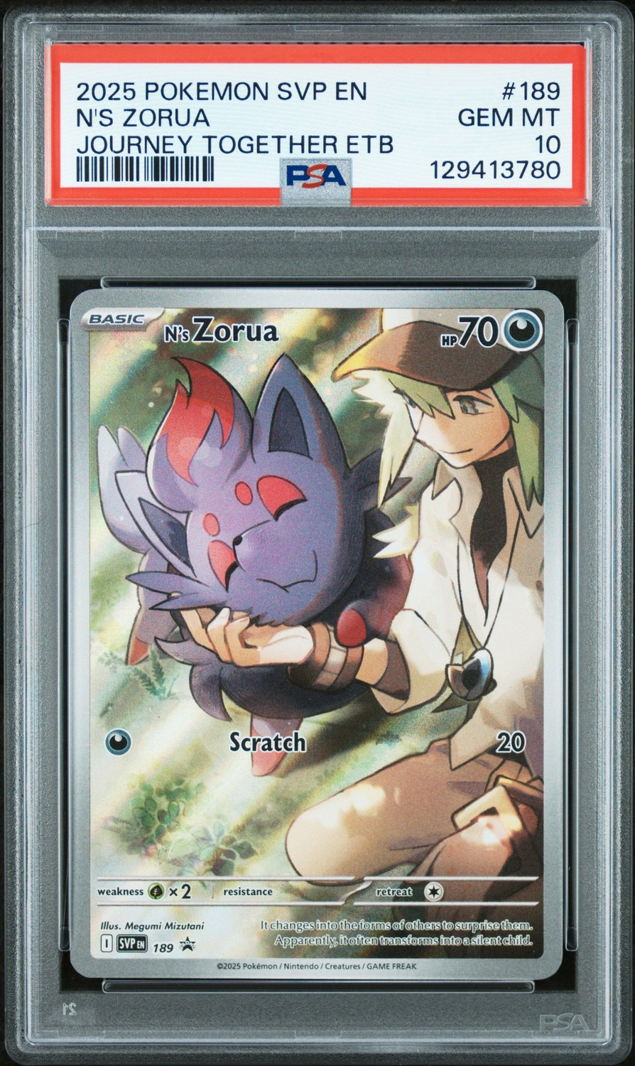 N'S ZORUA