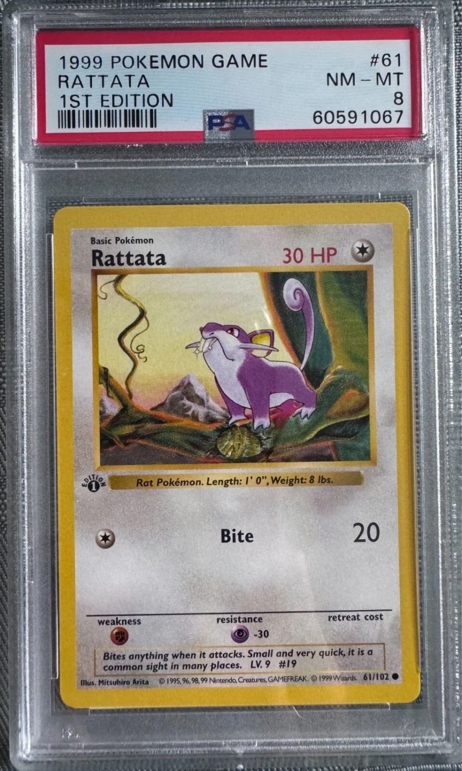Rattata