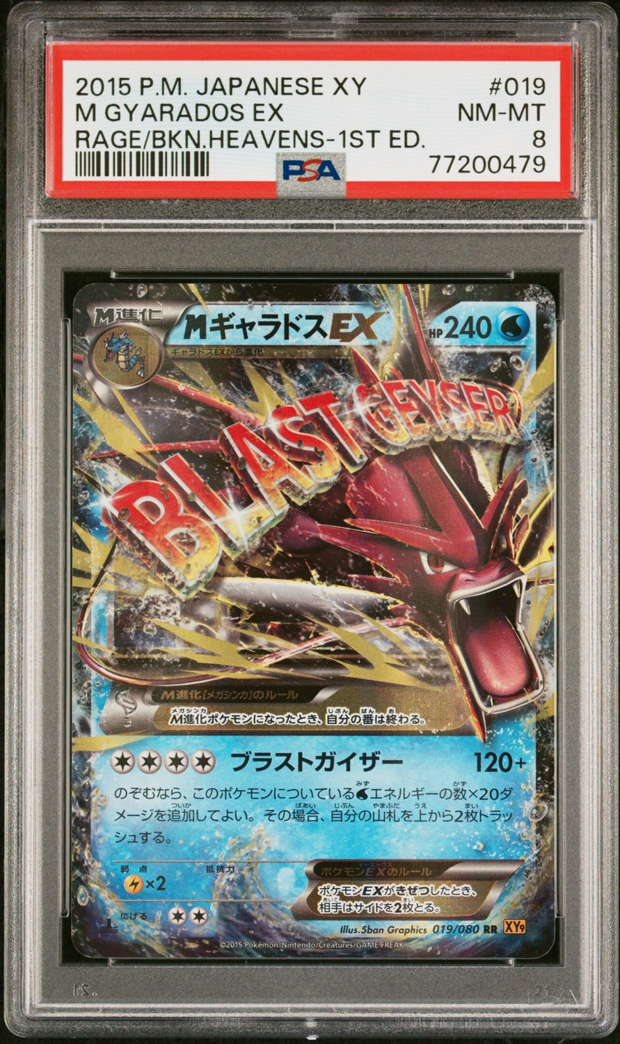 M Gyarados EX