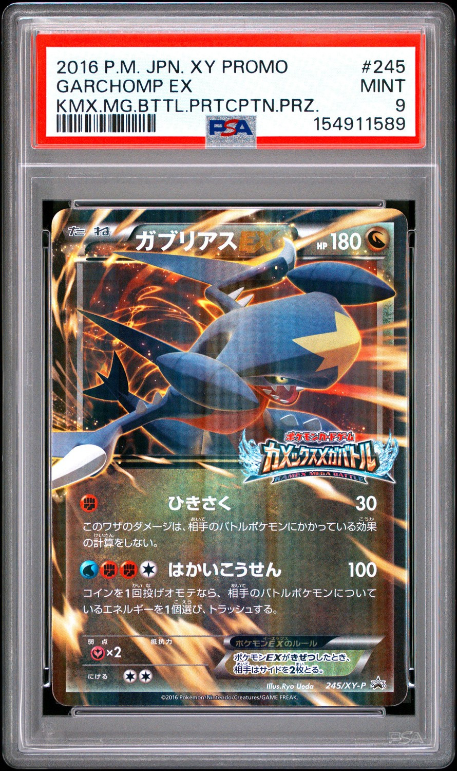 GARCHOMP EX