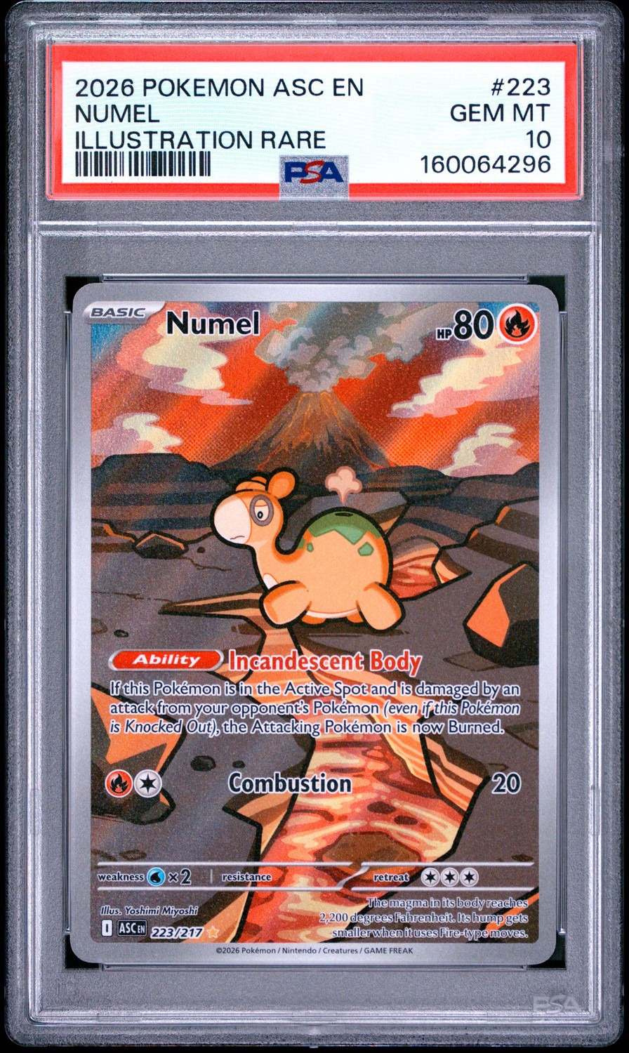 Numel