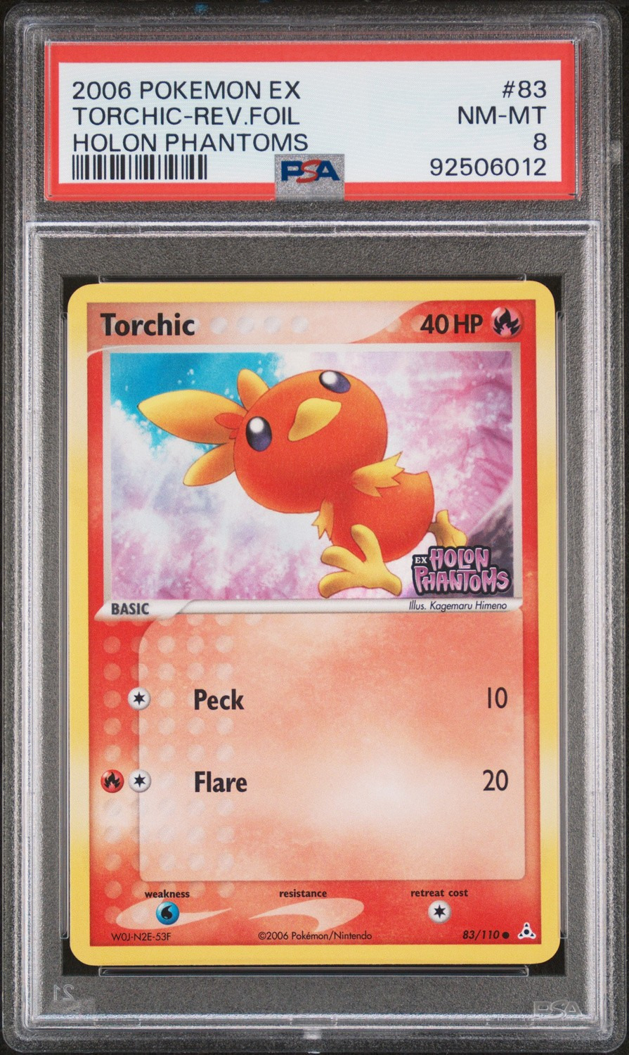 Torchic