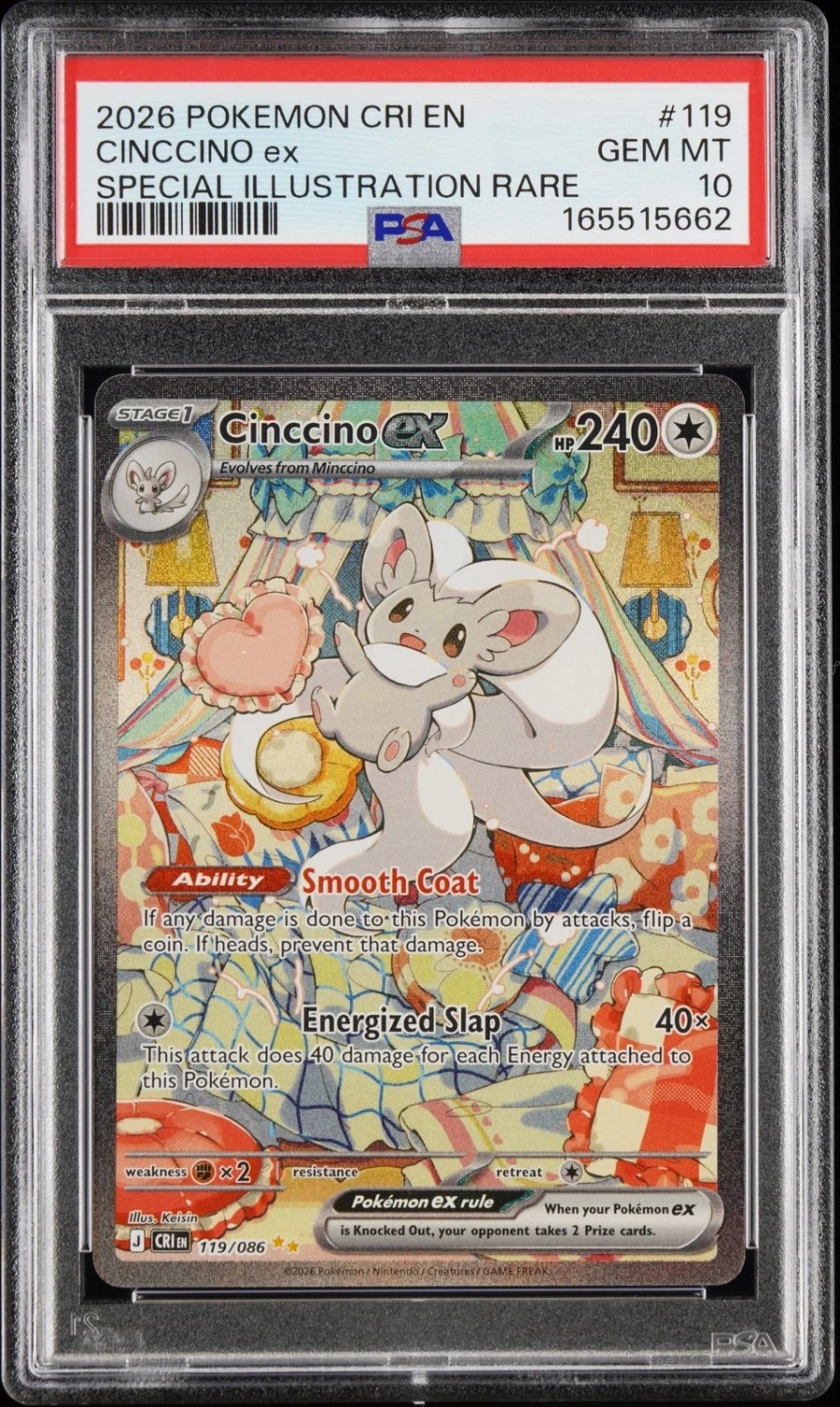 CINCCINO ex