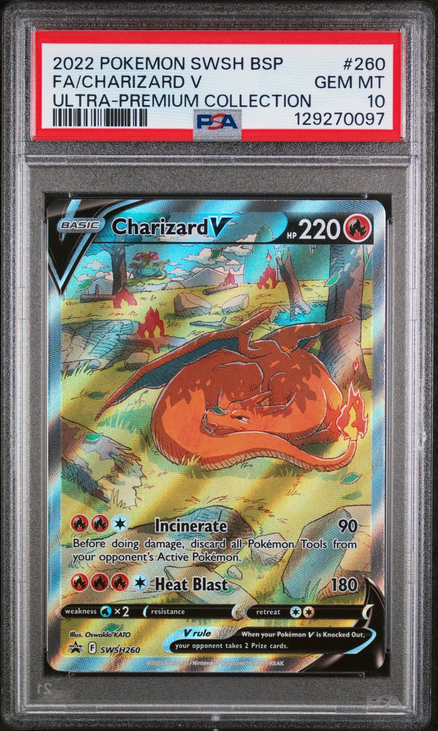 Charizard V