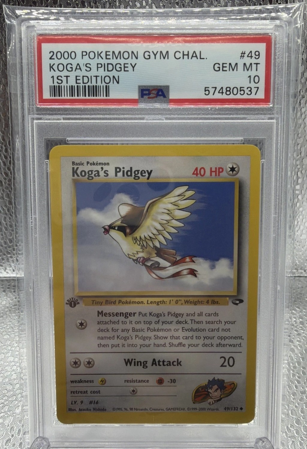 Koga's Pidgey
