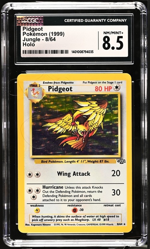 PIDGEOT