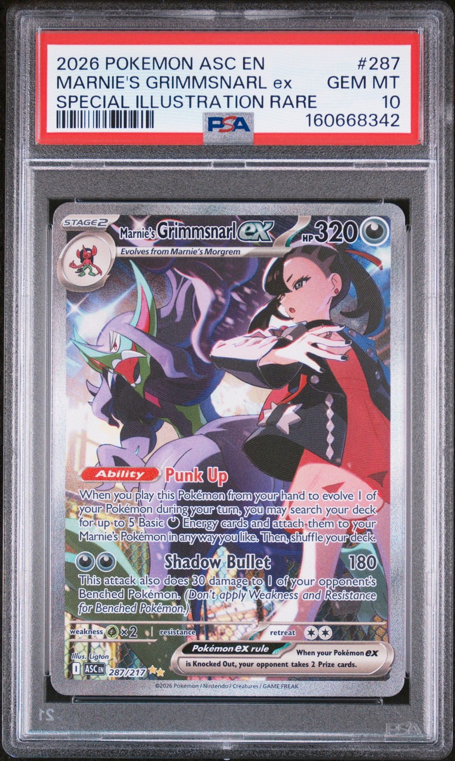 MARNIE'S GRIMMSNARL ex
