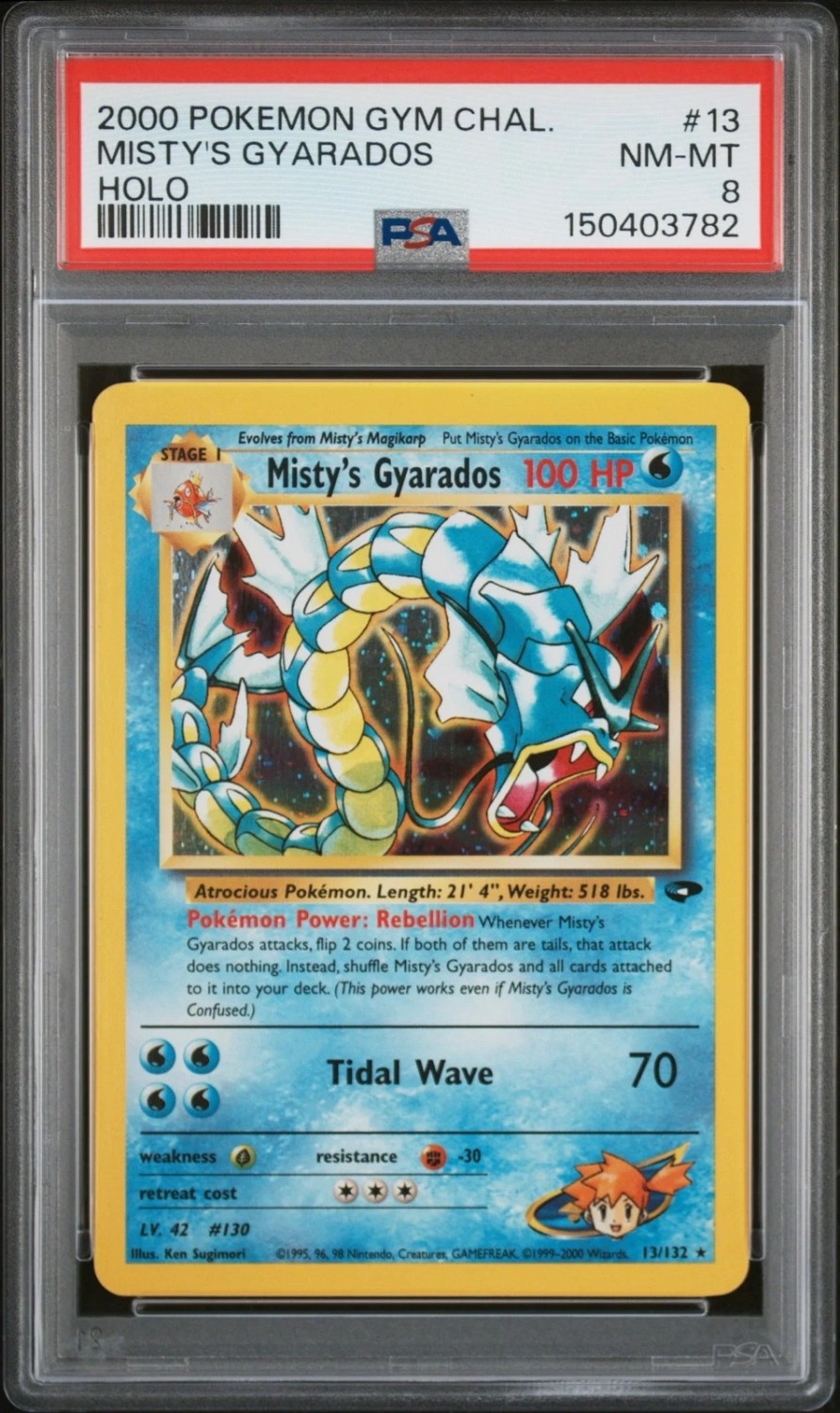 Misty's Gyarados