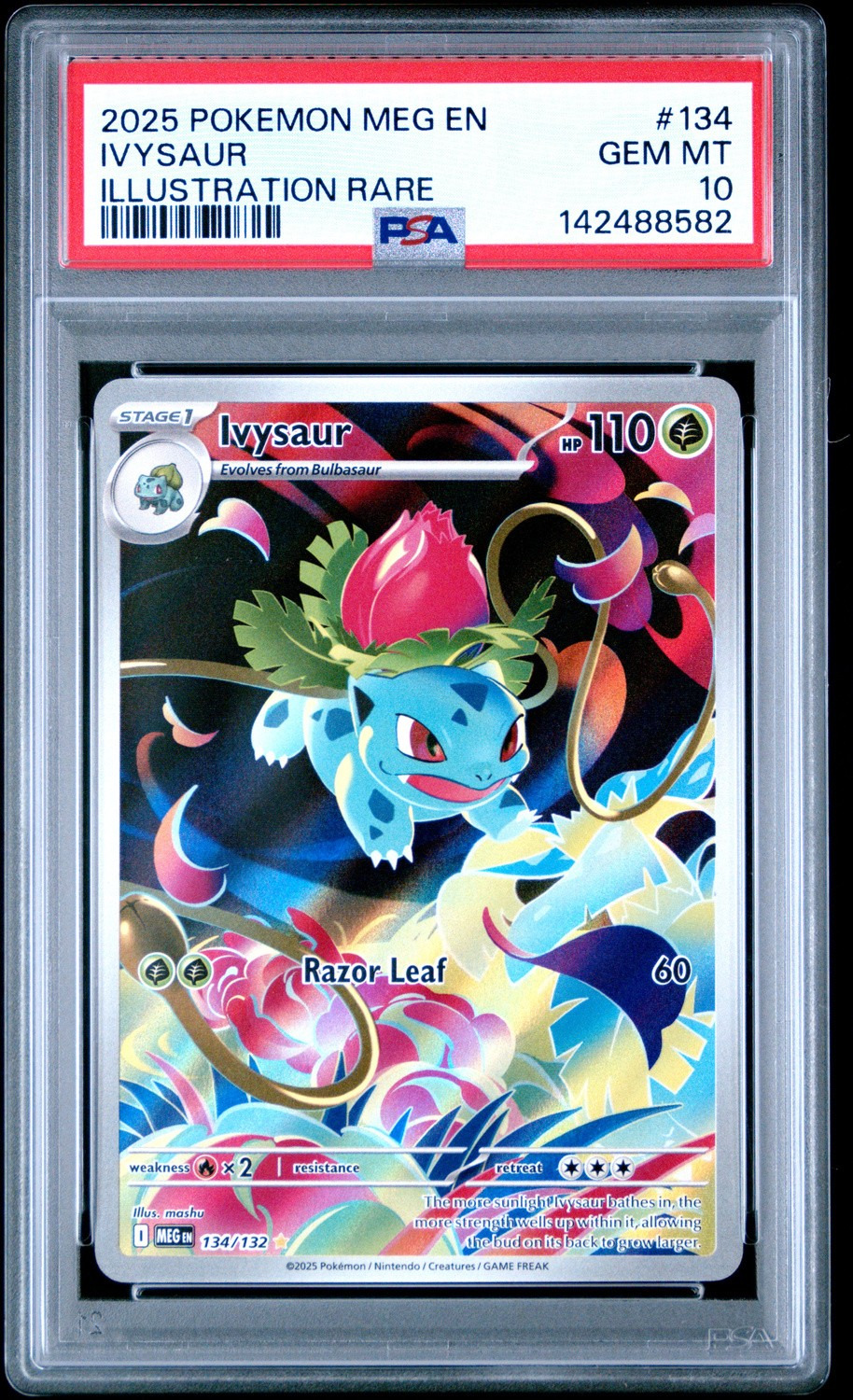 IVYSAUR