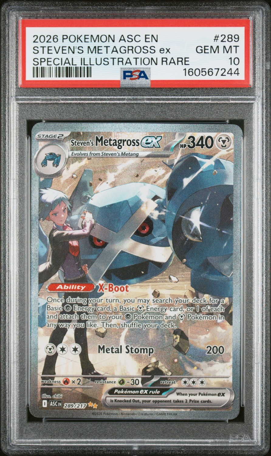 STEVEN'S METAGROSS ex