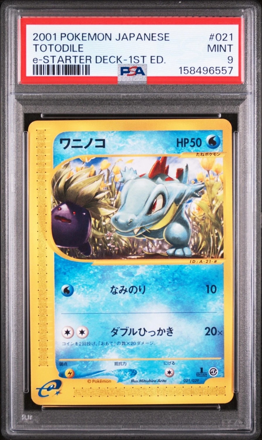 Totodile