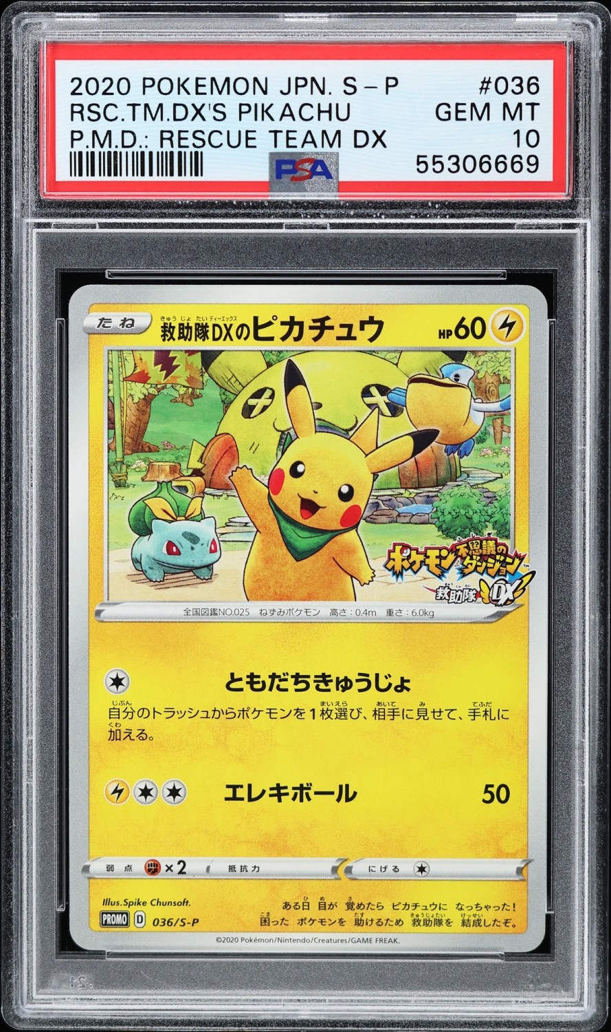 Rescue Team Dx's Pikachu
