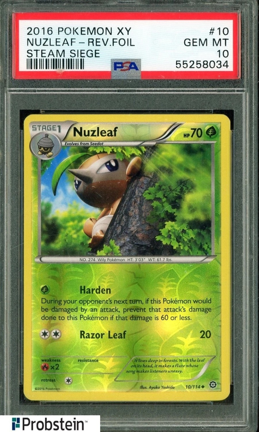NUZLEAF
