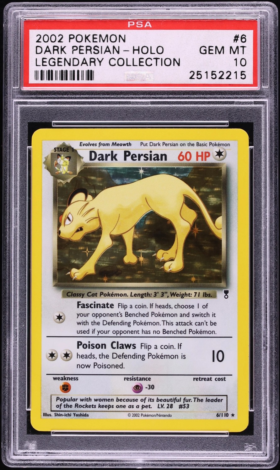 DARK PERSIAN